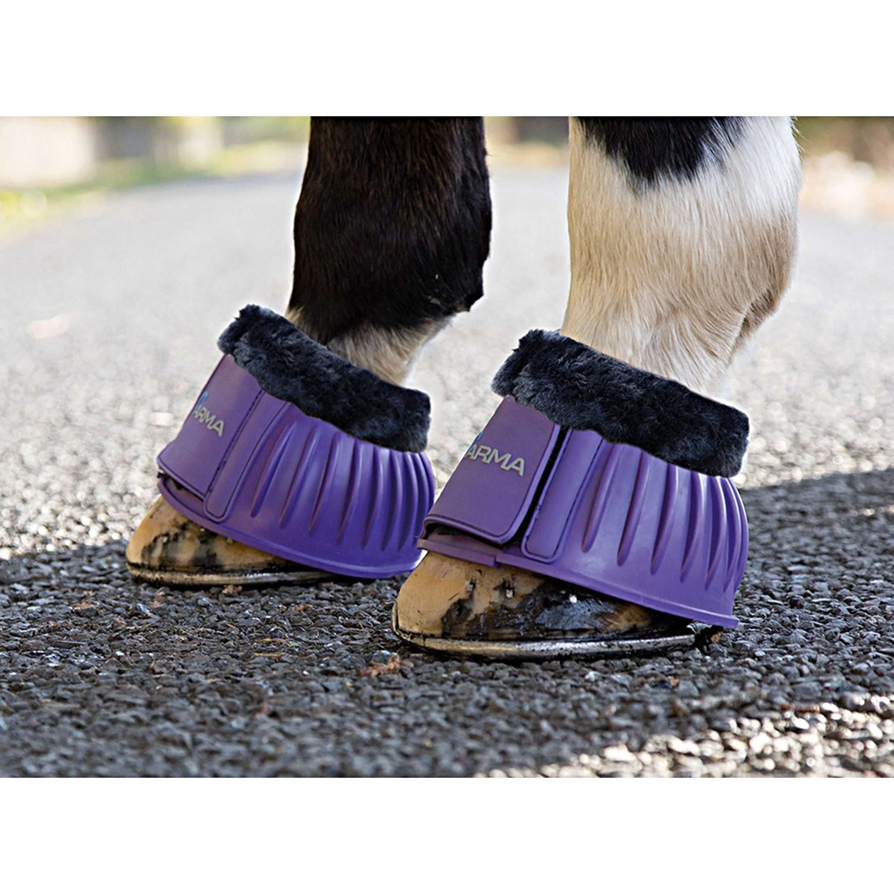 Arma by Shires Stinco di Cavallo Viola - Image 5