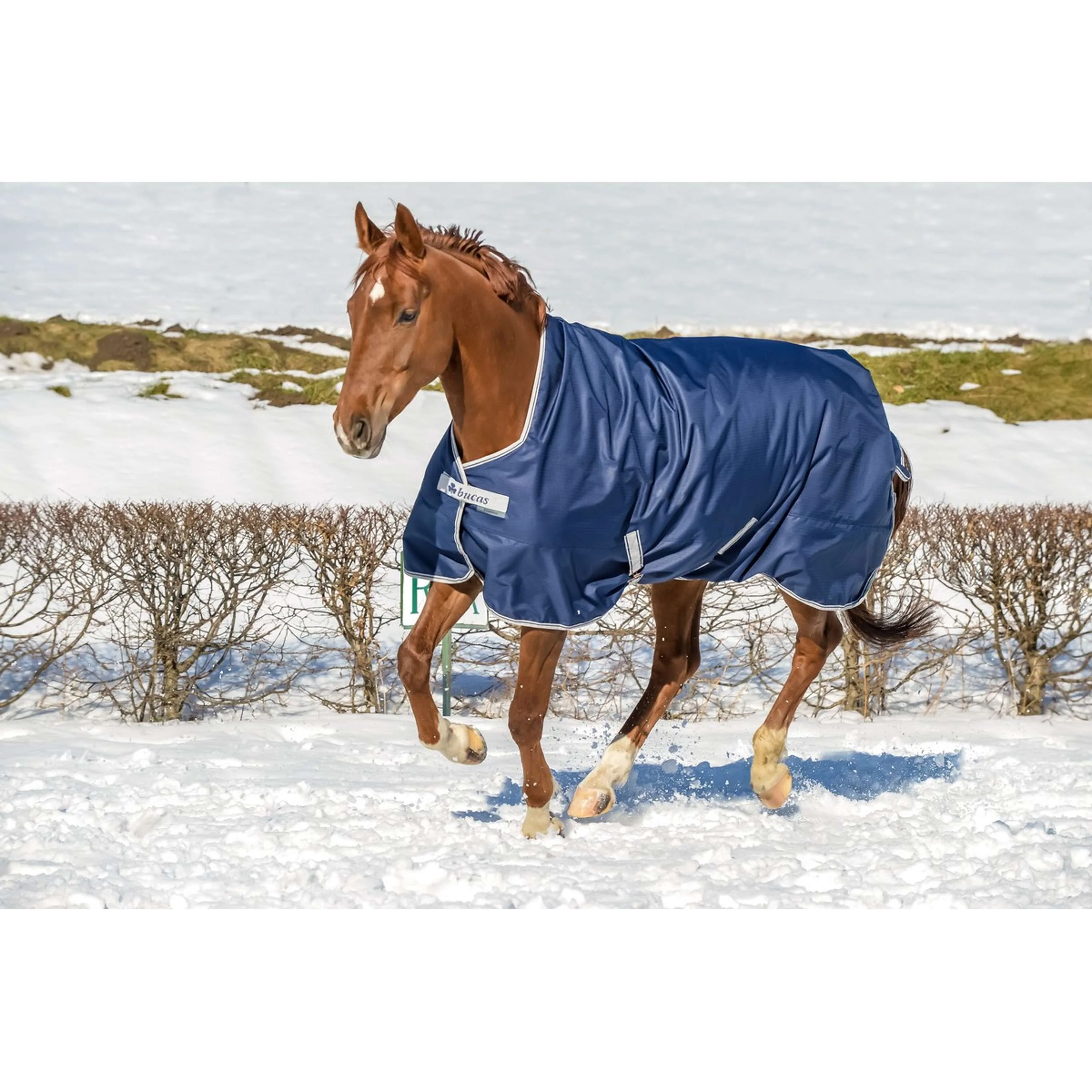 Bucas Freedom Turnout High Neck 150g Blu marino/Argento - Image 11