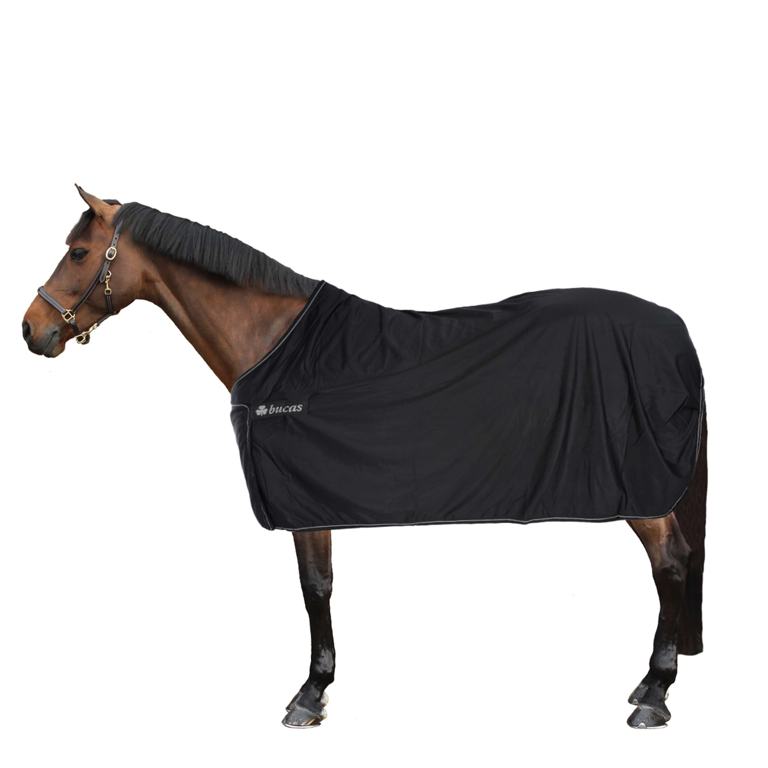 Bucas Panel Prize Cooler Black/Silver - Image 3