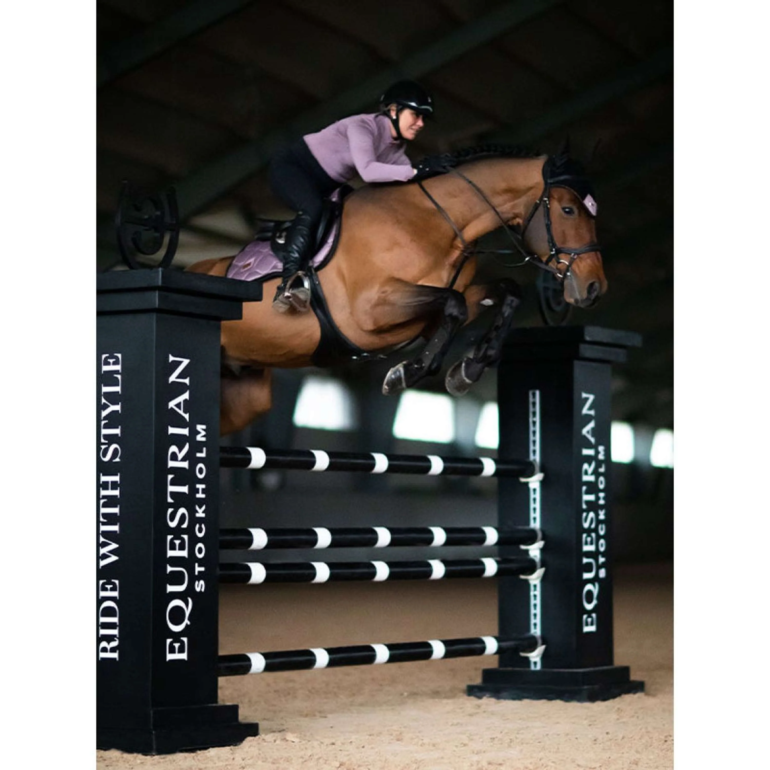 Equestrian Stockholm Sottosella saltando Anemone - Image 4