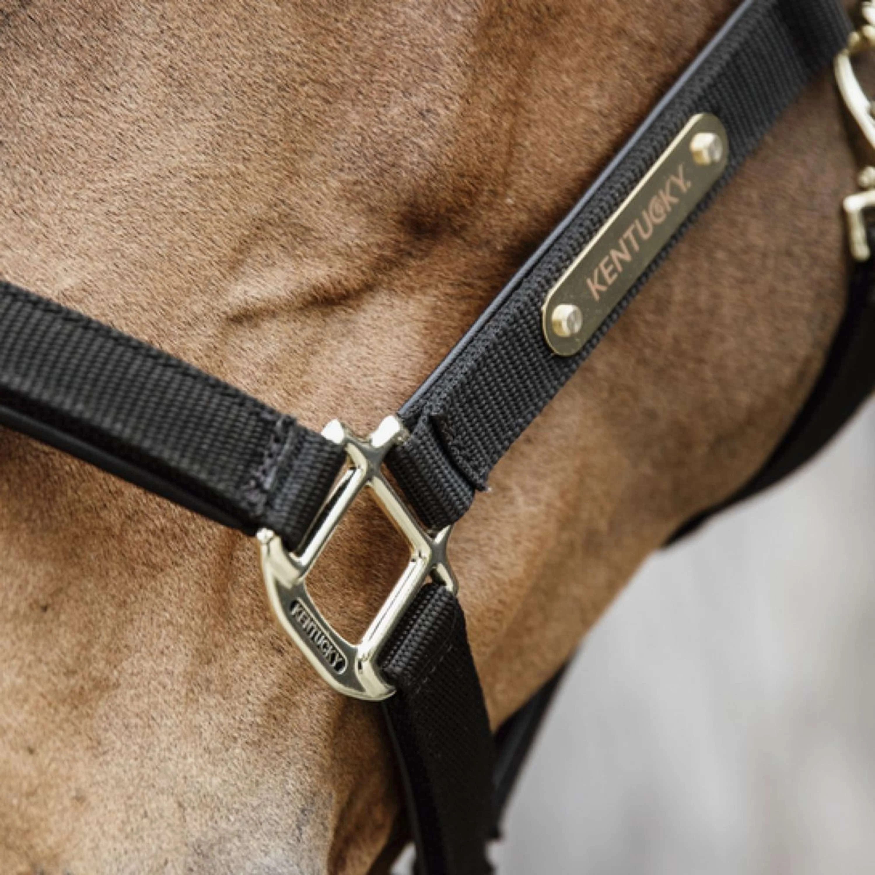 Kentucky Horsewear Capezzina Anatomic Nylon Nero - Image 5