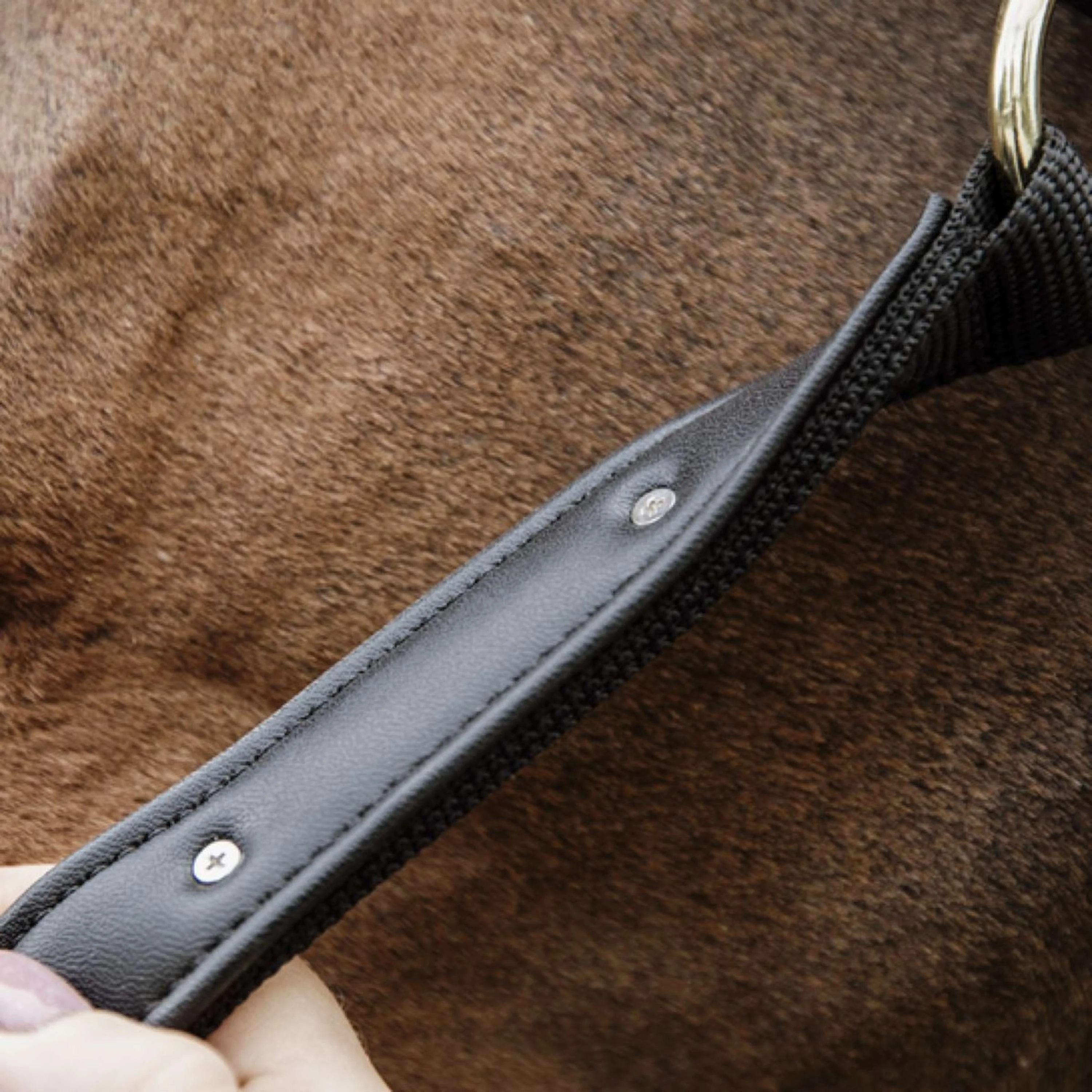 Kentucky Horsewear Capezzina Anatomic Nylon Nero - Image 6