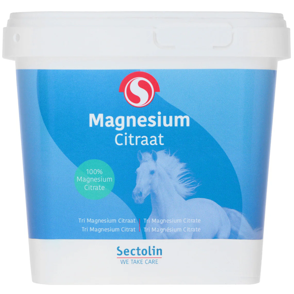 Sectolin Magnesio Equivital - Image 3